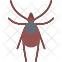 Mite  Icon