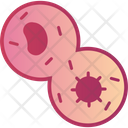 Mitosis Cell Icon