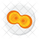 Mitosis Vegetative Cell Division Icon