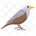 Mockingbird Passerine Bird Bird Icon