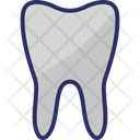 Molar Molar Teeth Tooth Icon