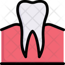 Dental Care Dentist Tooth Icon