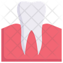 Dental Care Dentist Tooth Icon