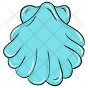 Pearl In Shell Pearl Seashell Icon