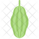 Vegetables Fiber Food Icon