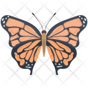 Monarch Tiger Patterns Icon