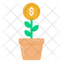 Cash Plant Money Plant Economy Growth Icon