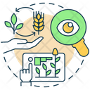 Monitoring crop growth  Icon
