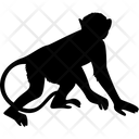 Monkey Animal Gorilla Icon