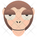 Monkey Macaques Primate Icon