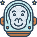 Monkey Of The Space Icon