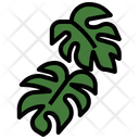 Monstera  Icon