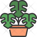 Monstera Plant  Icon