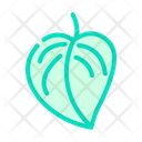 Monstera Plant Leaf  Icon