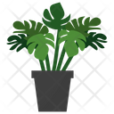 Monstera Potted Plant  Icon