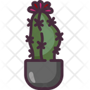 Moon Cactus Icon