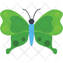 Moss Peacock Butterfly Icon