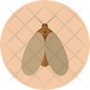 Moth Insect Butterfly Icon