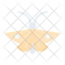 Moth Insect Bug Icon