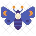 Moth Witchcraft Celestial Icon