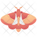 Moth Icon