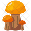 Diet Mushroom Nature Icon