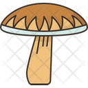 Mushroom Boletus Edible Icon