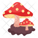 Mushrooms  Icon