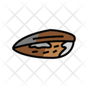 Mussel Clam Icon