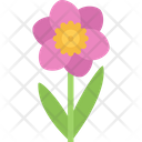Narcissus Flower Spring Icon