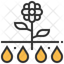 Natural Icon