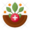 Natural Remedies Icon