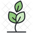 Nature Tree Ecology Icon