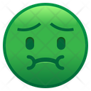 Nauseated Face Icon