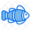 Nemo Fish Pet Icon