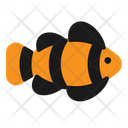 Nemo Fish Pet Icon