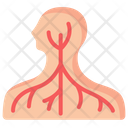 Nervous System Human Icon