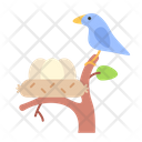 Nest Bird Egg Icon