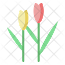 Netherlands Tulip Holland Icon