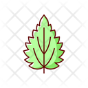 Nettle  Icon