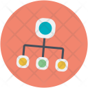Network  Icon