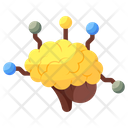 Neural Network  Icon