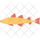 Northern Pike Fish Icon