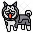 Norwegian Elkhound Dog Icon