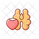Nut  Icon