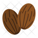 Nutmeg Icon