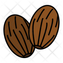 Nutmeg Spice Cooking Icon
