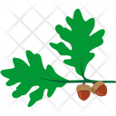 Oak Tree Nut Icon