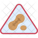 Nuts Allergy  Icon