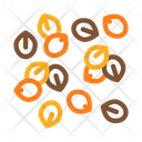 Nuts Seeds Food Icon